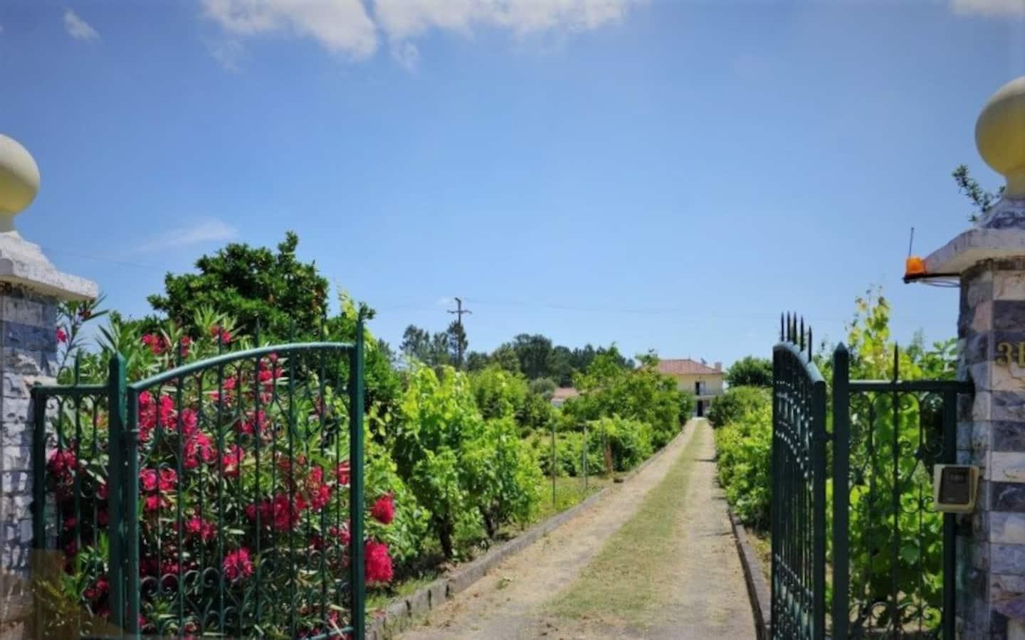 Casa Azul Tomar Prive Vakantiehuis Экстерьер фото