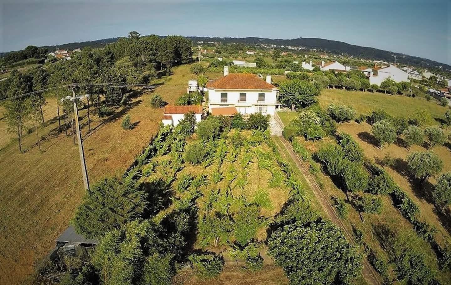 Casa Azul Tomar Prive Vakantiehuis Экстерьер фото
