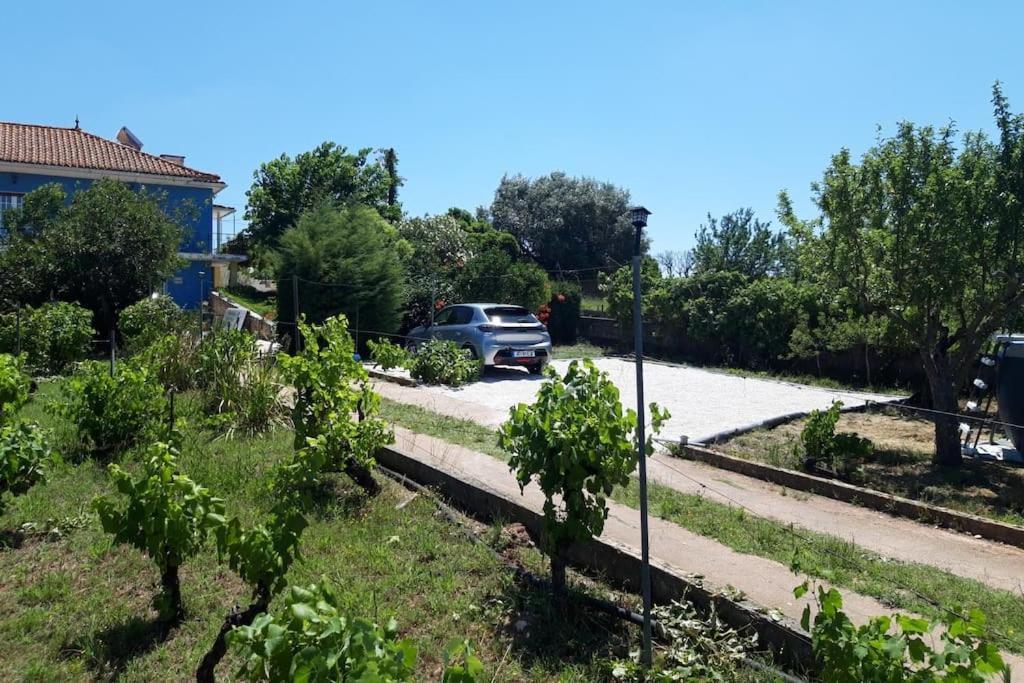 Casa Azul Tomar Prive Vakantiehuis Экстерьер фото
