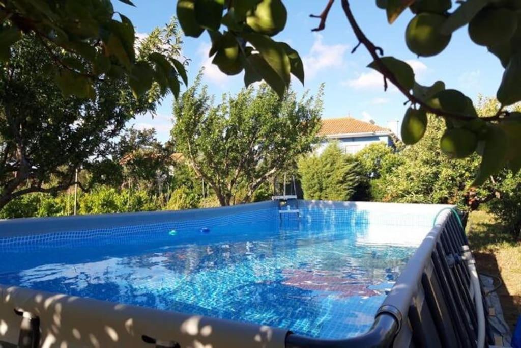 Casa Azul Tomar Prive Vakantiehuis Экстерьер фото