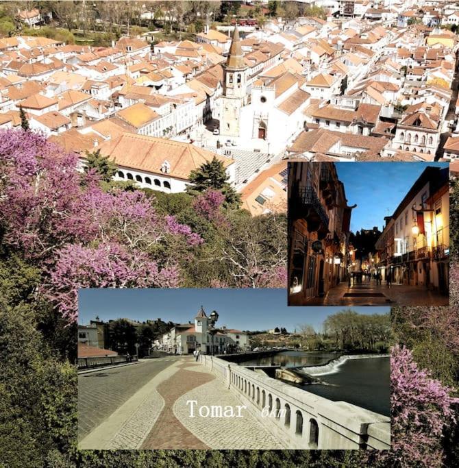 Casa Azul Tomar Prive Vakantiehuis Экстерьер фото