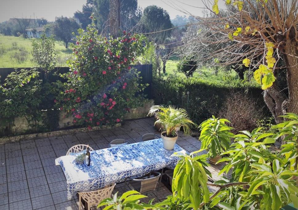 Casa Azul Tomar Prive Vakantiehuis Экстерьер фото